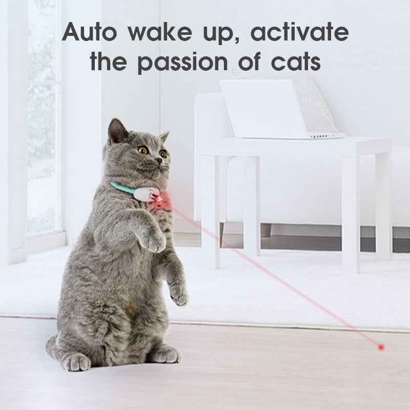 Smart Laser Cat Collar Interactive Toy USB Charging - Oopsdadforgot.com