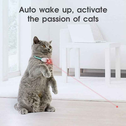 Smart Laser Cat Collar Interactive Toy USB Charging - Oopsdadforgot.com