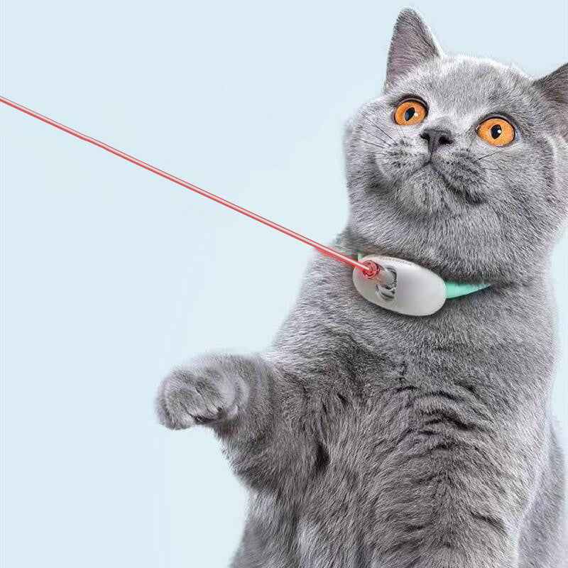 Smart Laser Cat Collar Interactive Toy USB Charging - Oopsdadforgot.com