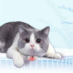 Smart Laser Cat Collar Interactive Toy USB Charging - Oopsdadforgot.com