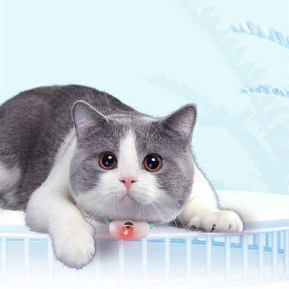 Smart Laser Cat Collar Interactive Toy USB Charging - Oopsdadforgot.com