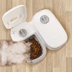 Automatic Pet Feeder Smart Food Dispenser For Cats Dogs Timer Stainless Steel Bowl Auto Dog Cat Pet Feeding Pets Supplies - Oopsdadforgot.com