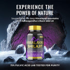 BSYS SHILAJIT GUMMIES 60'S - Oopsdadforgot.com