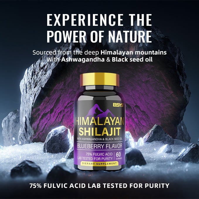 BSYS SHILAJIT GUMMIES 60'S - Oopsdadforgot.com