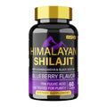 BSYS SHILAJIT GUMMIES 60'S - Oopsdadforgot.com