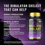 BSYS SHILAJIT GUMMIES 60'S - Oopsdadforgot.com