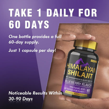 BSYS SHILAJIT GUMMIES 60'S - Oopsdadforgot.com