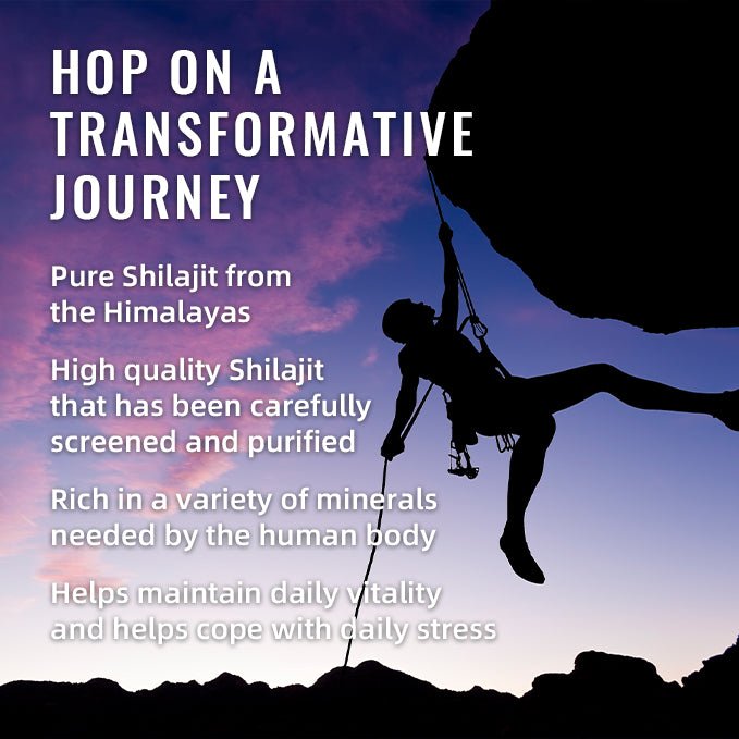 BSYS SHILAJIT GUMMIES 60'S - Oopsdadforgot.com
