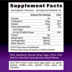 BSYS SHILAJIT GUMMIES 60'S - Oopsdadforgot.com
