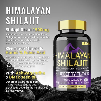 BSYS SHILAJIT GUMMIES 60'S - Oopsdadforgot.com