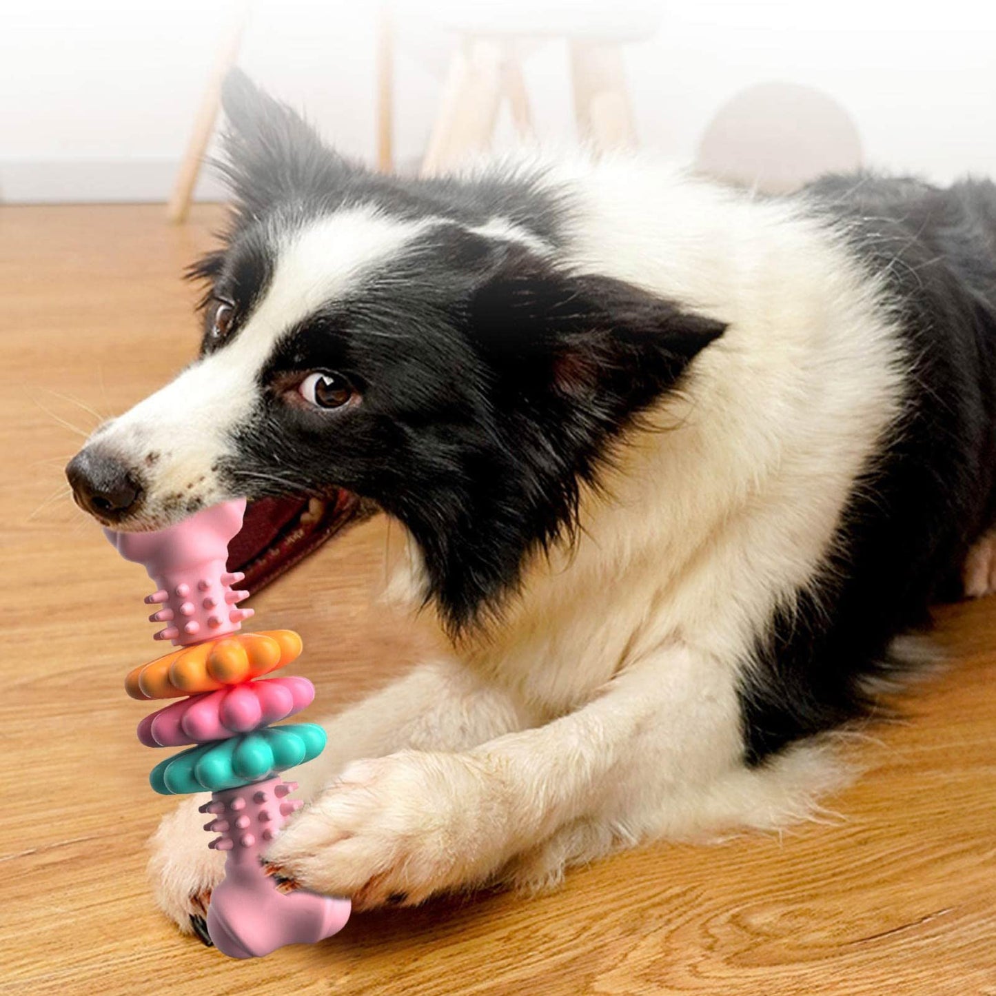Dog Chew Toy Dog Bone Type Dogs Teeth Cleaning Toys Indestructible TPR Bone Chewing Bite Resistant Teething Toys Pet Products - Oopsdadforgot.com