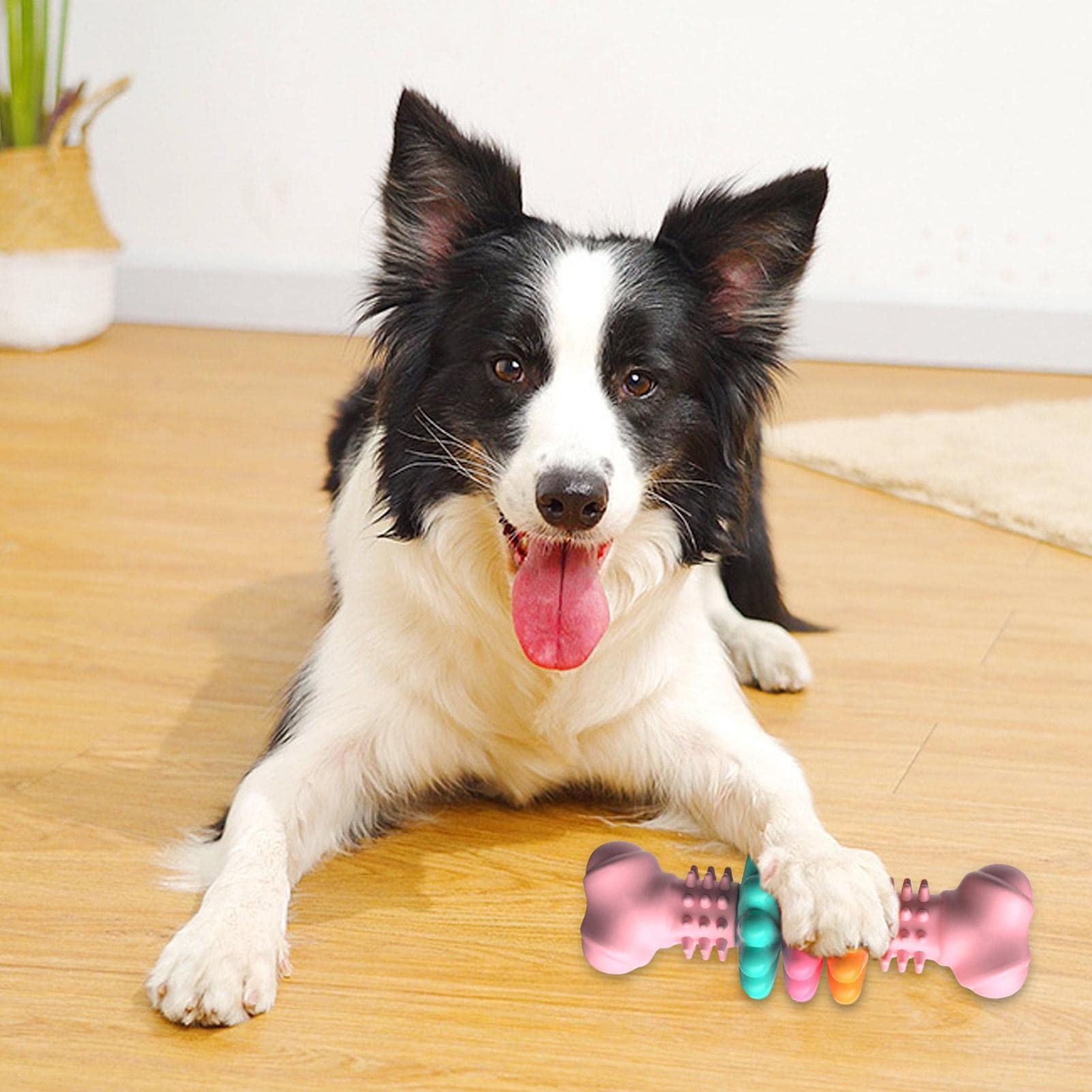 Dog Chew Toy Dog Bone Type Dogs Teeth Cleaning Toys Indestructible TPR Bone Chewing Bite Resistant Teething Toys Pet Products - Oopsdadforgot.com