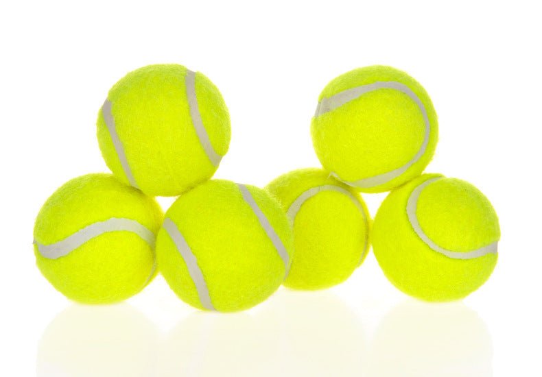 Dog Pet Automatic Interactive Ball Launcher - Oopsdadforgot.com