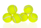 Dog Pet Automatic Interactive Ball Launcher - Oopsdadforgot.com