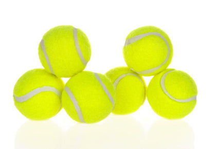 Dog Pet Automatic Interactive Ball Launcher - Oopsdadforgot.com