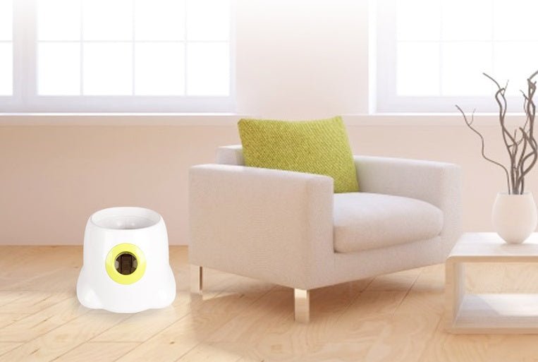 Dog Pet Automatic Interactive Ball Launcher - Oopsdadforgot.com