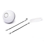 LED Laser Electronic Rolling Pet Funny Cat Toy Ball - Oopsdadforgot.com