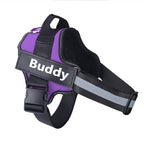 Personalized Dog Harness NO PULL Reflective Breathable Adjustable Pet Harness Vest For Small Large Dog Custom Patch Pet Supplies - Oopsdadforgot.com