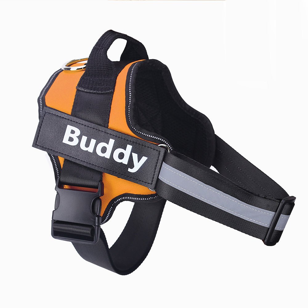 Personalized Dog Harness NO PULL Reflective Breathable Adjustable Pet Harness Vest For Small Large Dog Custom Patch Pet Supplies - Oopsdadforgot.com