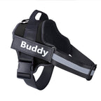 Personalized Dog Harness NO PULL Reflective Breathable Adjustable Pet Harness Vest For Small Large Dog Custom Patch Pet Supplies - Oopsdadforgot.com